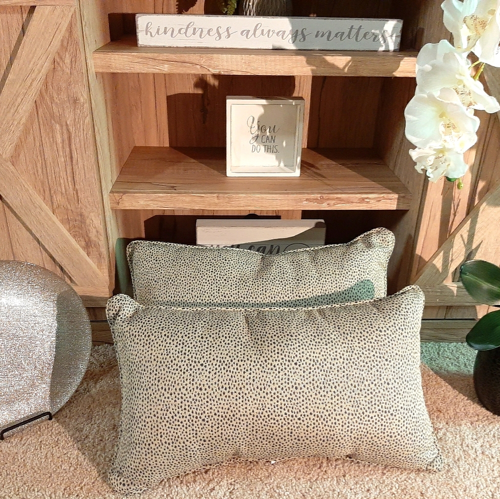 Set of Accent Pillows